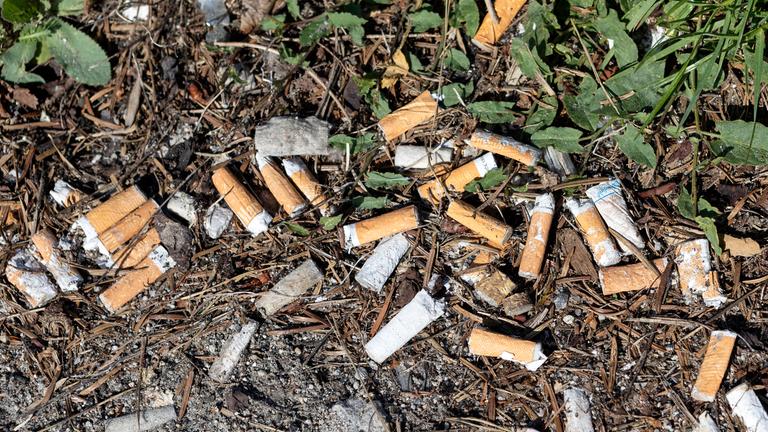Zigarettenstummel in einer Parkanlage in Düsseldorf