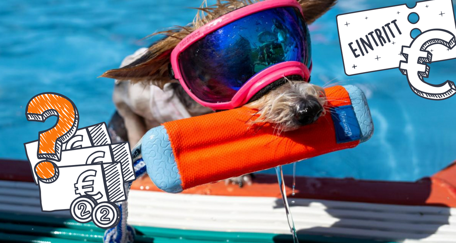 Hund im Freibad, Preise und Euros