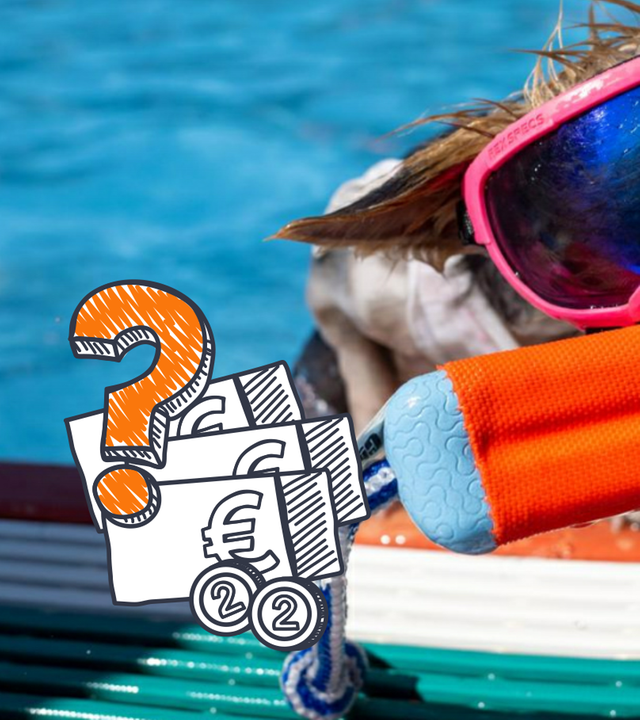 Hund im Freibad, Preise und Euros