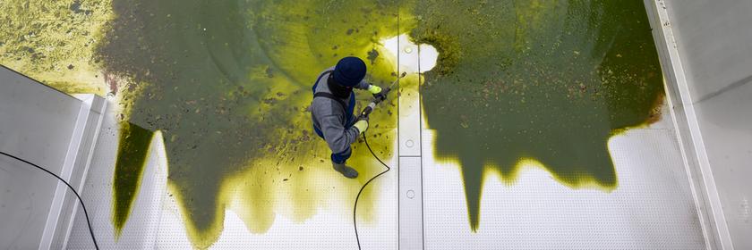 Mitarbeiter des Freibades Gablenz in Chemnitz reinigen die Badebecken. Knapp einen Monat dauern die Arbeiten an den Schwimmbecken und den Außenanlagen, bis das Bad fit ist, um in die neue Saison zu starten.