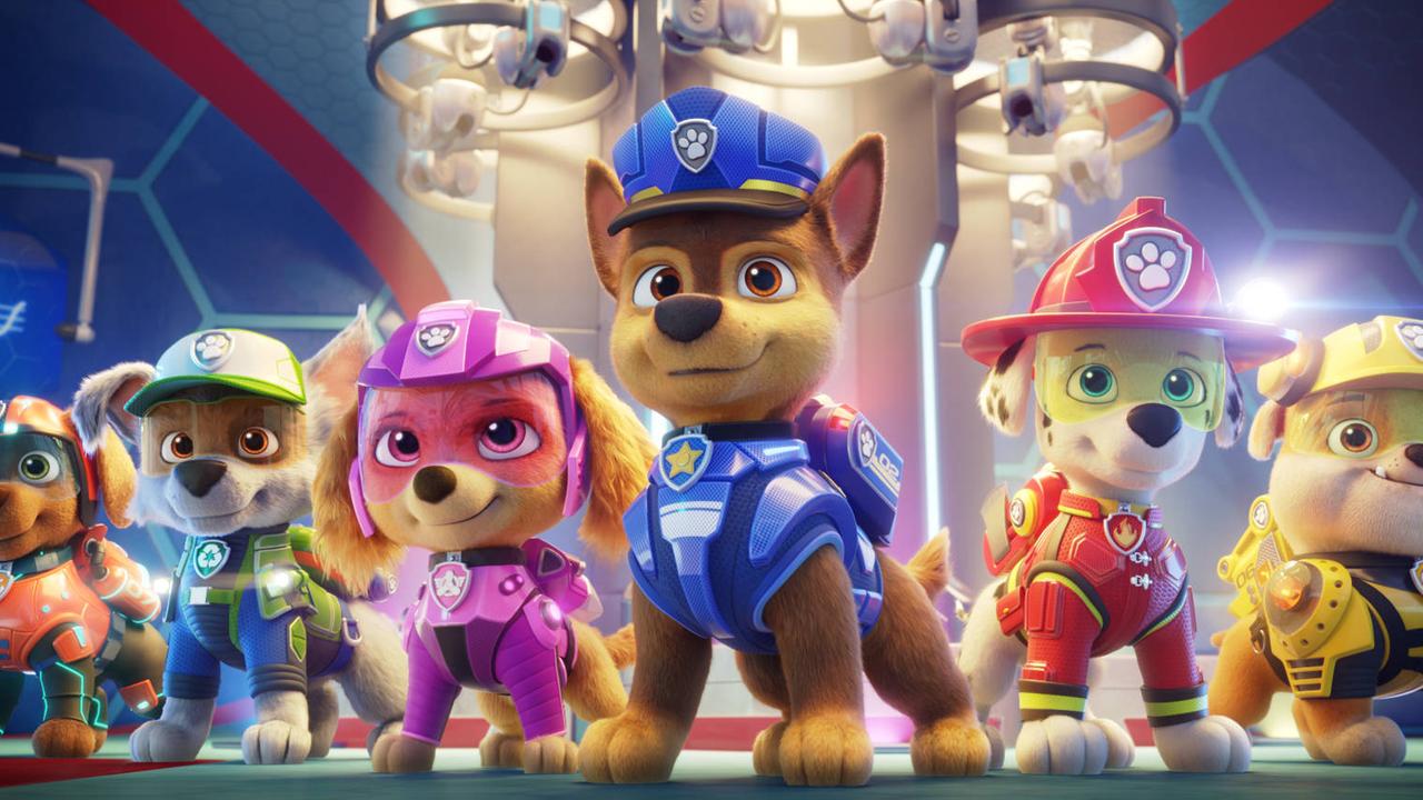 Die sechs Paw-Patrol Hunde in Uniform
