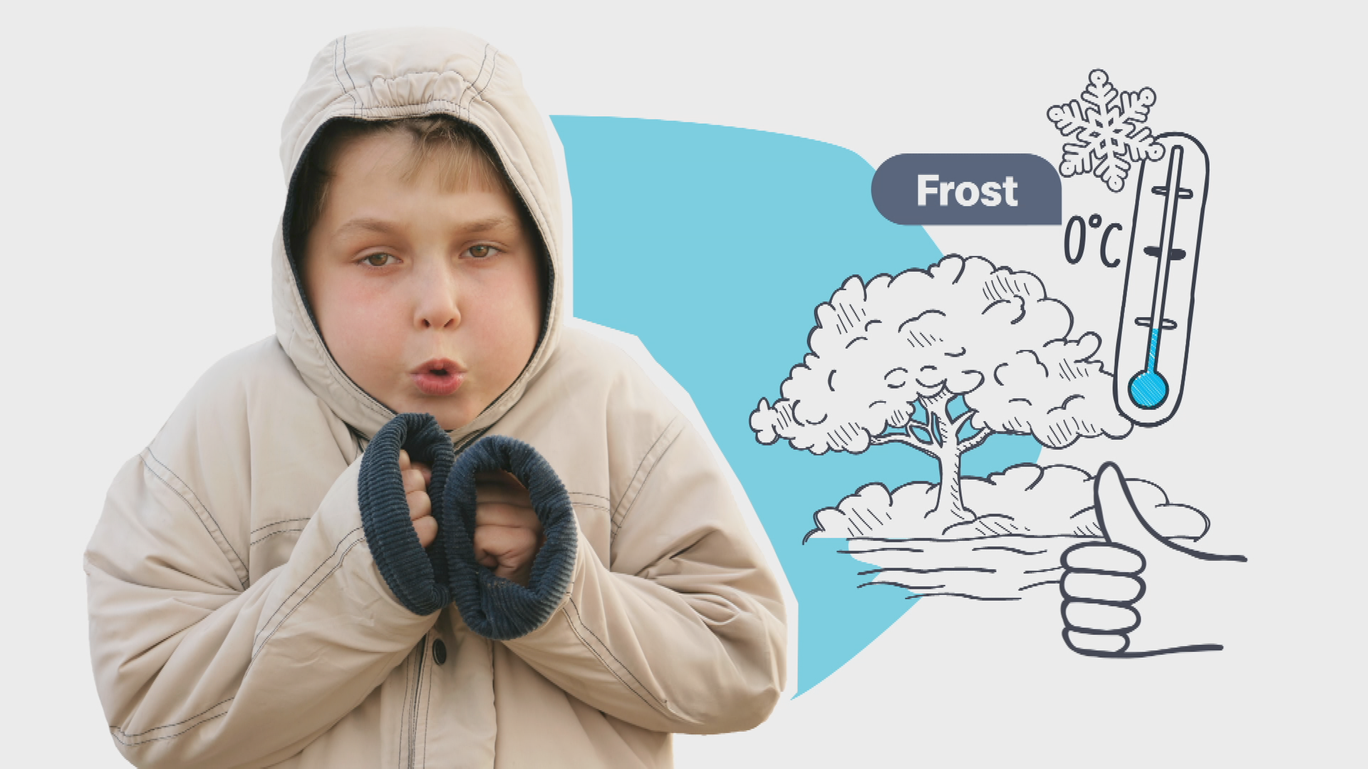 Frost, Grafik