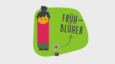Was sind Frühblüher?