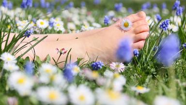 Der Fuß eines Kindes liegt auf einer Blumenwiese.