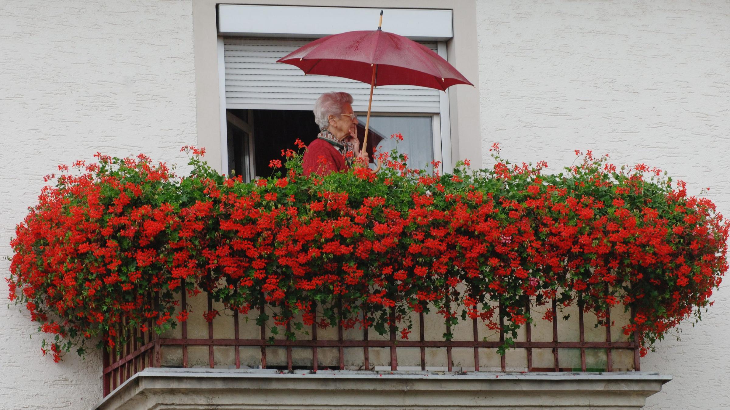 Gegenstände, deren Bezeichnung eigentlich aus dem Französischen stammen und eingedeutscht wurden. 
