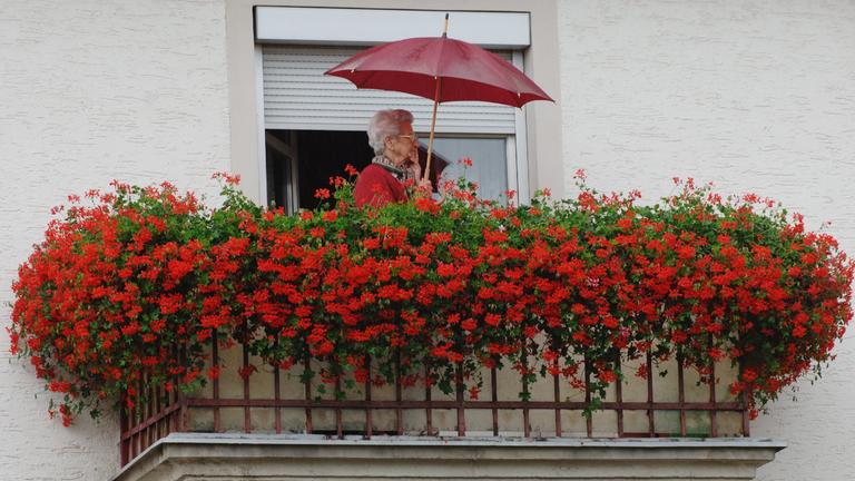 Gegenstände, deren Bezeichnung eigentlich aus dem Französischen stammen und eingedeutscht wurden. 