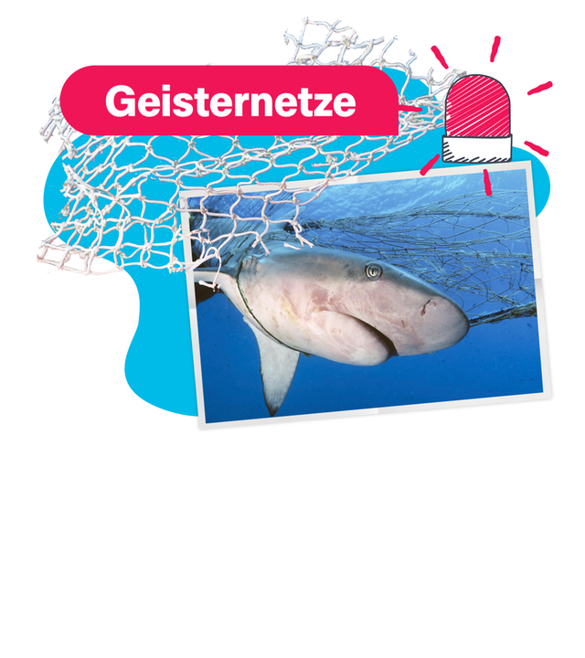 Ein Foto von einem Hai, der sich in einem Netz verheddert hat, darüber ein ausgeschnittenes Netz und der Schriftzug "Geisternetze", außerdem eine gezeichnete, rote Alarmlampe. 