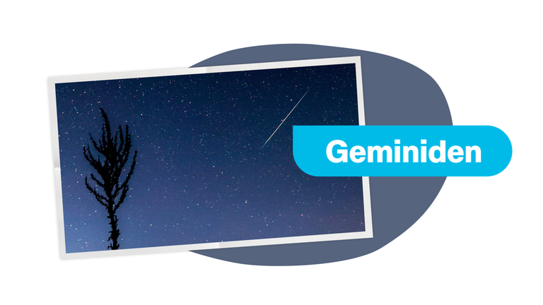 Geminide: Warum sie so besonders sind