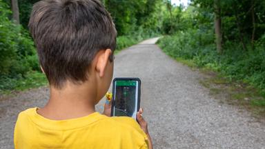 Junge steht mit Smartphone in der Hand im Wald und sucht den Schatz