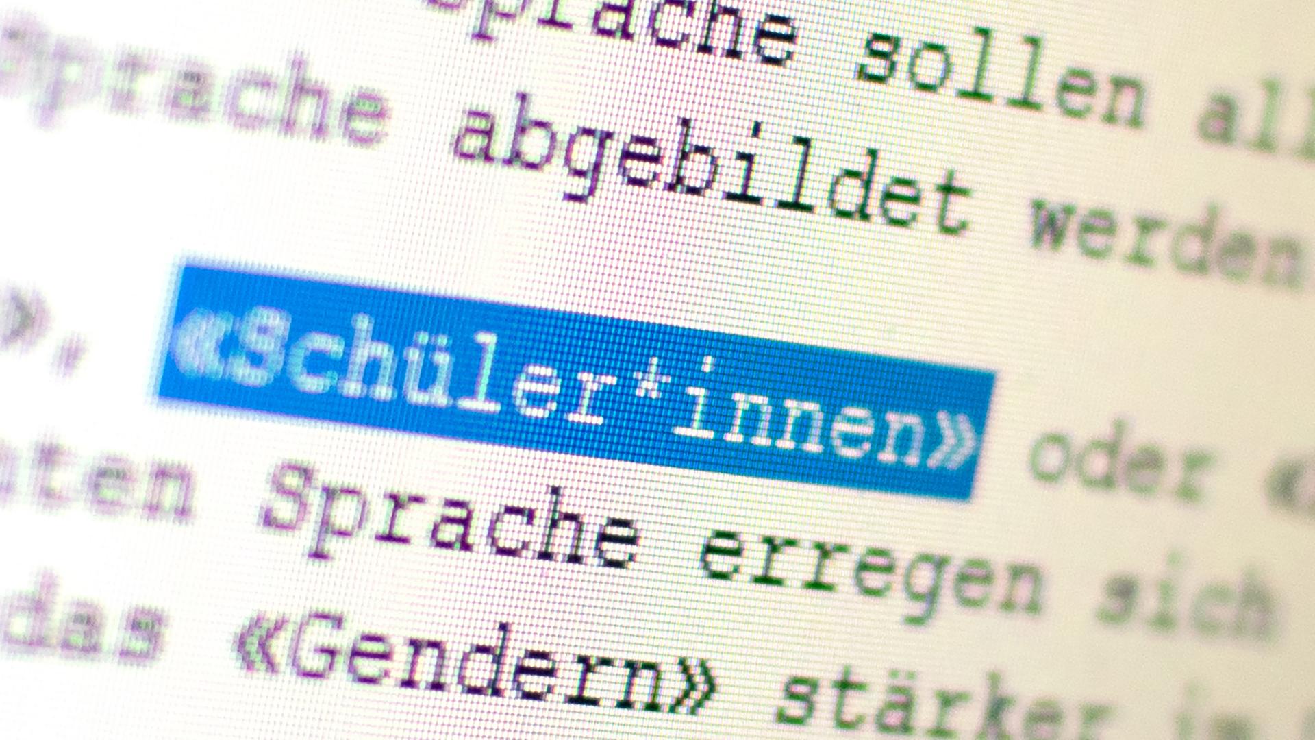 Auf einem Bildschirm ist das Wort "Schüler*innen" zu sehen