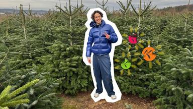 Reporter Gianni steht mit einer blauen Jacke gekleidet zwischen vielen Tannenbäumen auf einem Feld, neben ihn sieht man Christbaumkugeln.