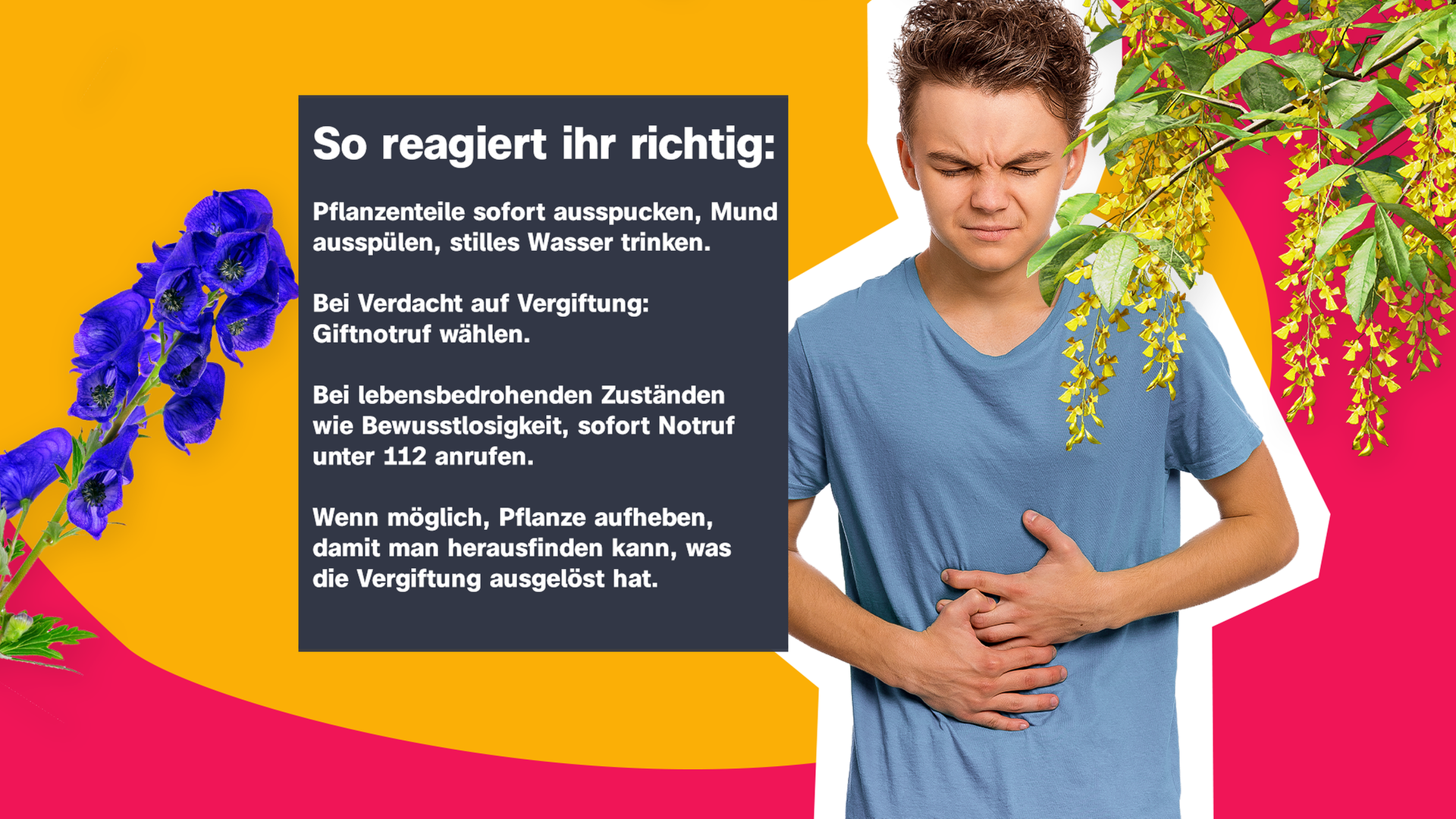 Ein Junge hält sich den Bauch, verschiedene Pflanzen sind neben ihm. 