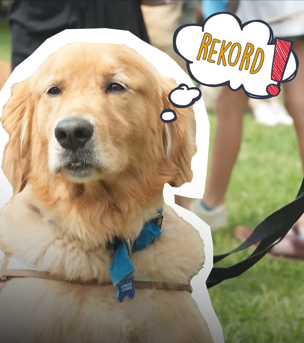 Ein sitzender Golden Retriever über ihm eine Gedankenblase mit "REKORD".