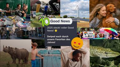Good News 2025 - Highlights aus aller Welt