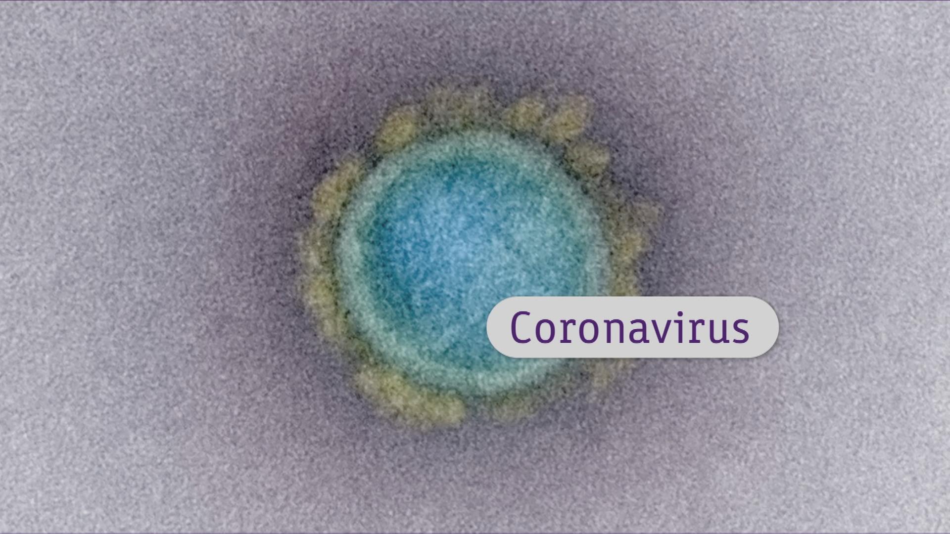 logo! erklärt: Coronavirus