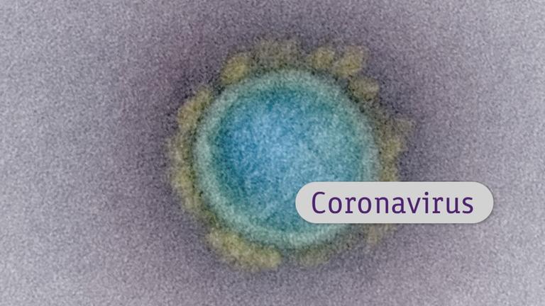 logo! erklärt: Coronavirus