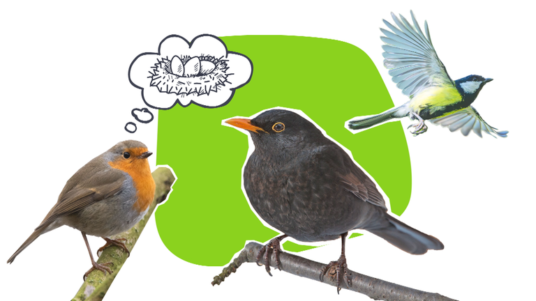 Grafik ES Nistplätze