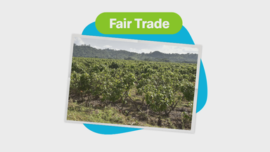 Grafik Fair Trade