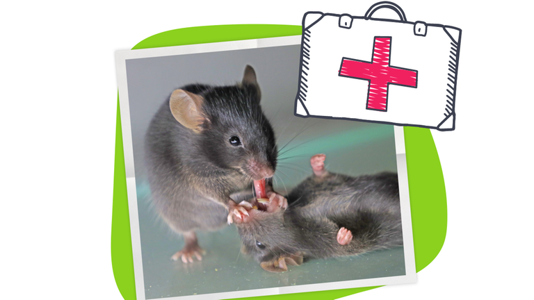 Grafik hilfsbereite Mäuse