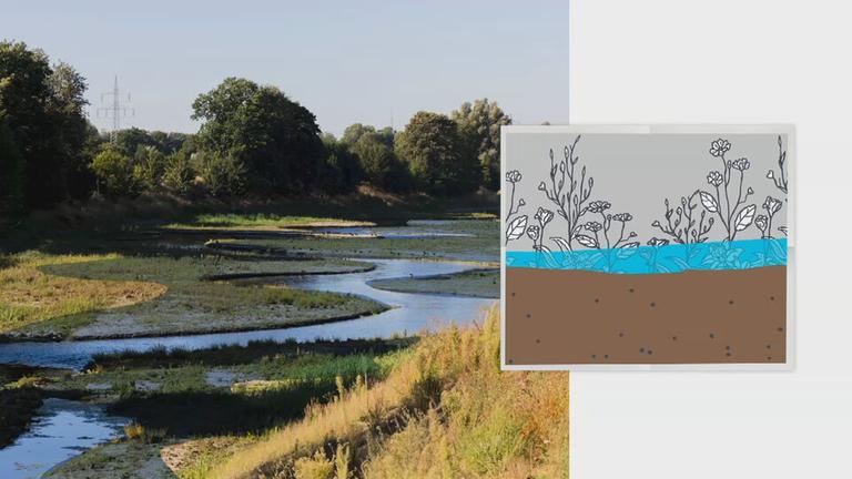 Grafik Hochwasserschutz