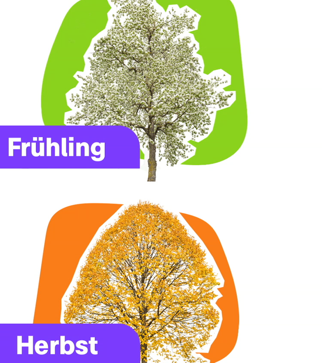 Jahreszeiten