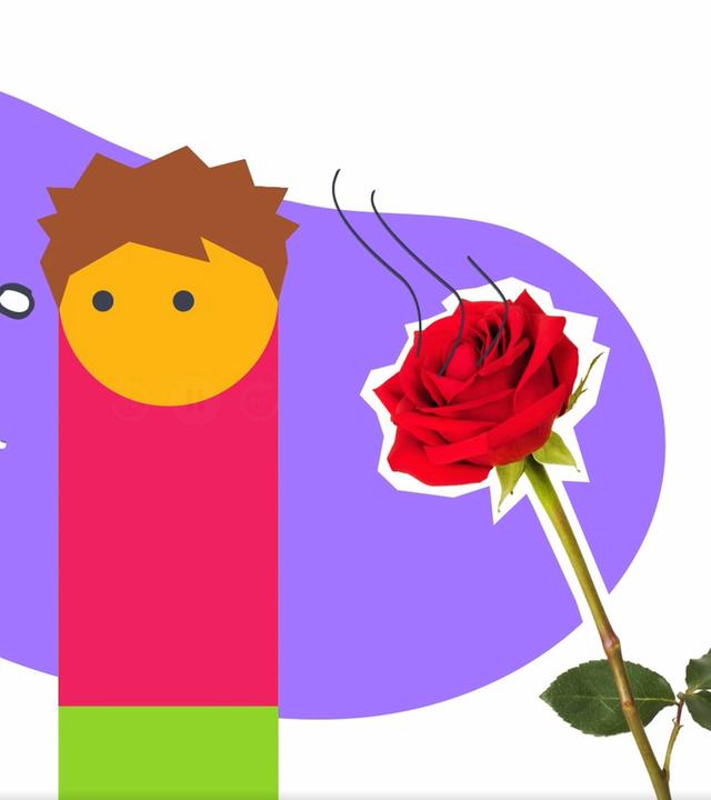 Lernen Grafik
