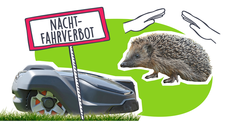 Grafik: Nachtverbot für Rasenmähroboter