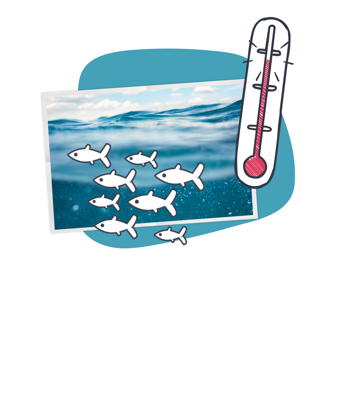 Meer Temperatur Grafik