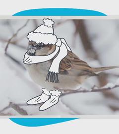 Ein Vogel mit Mütze, Schal und Stiefeln