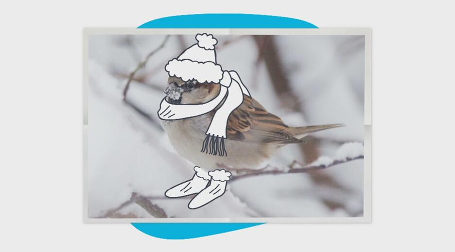 Ein Vogel mit Mütze, Schal und Stiefeln