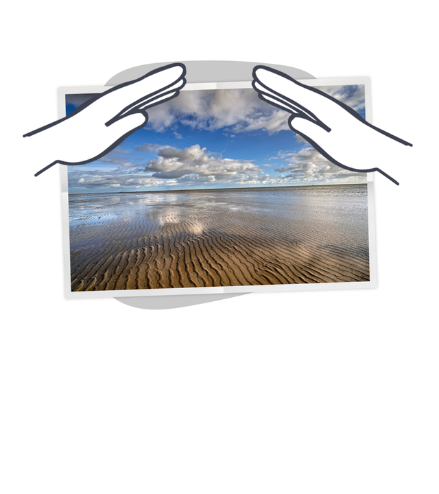 Grafik Wattenmeer bedroht
