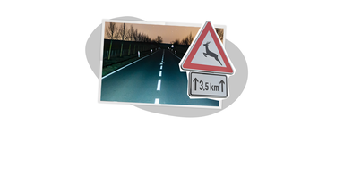 Grafik: Wildtierunfälle verhindern