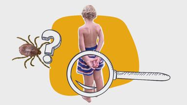logo! erklärt: Schutz vor Zecken