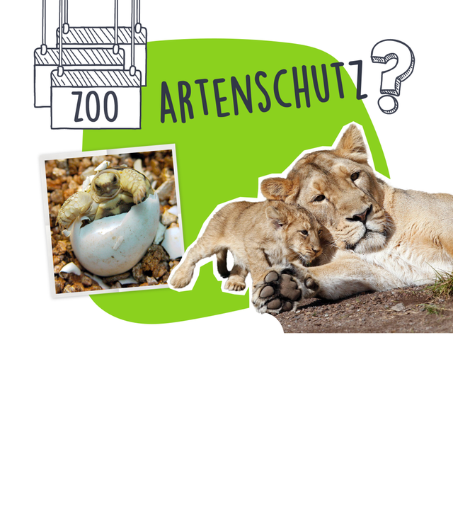 Grafik: Zoos und Artenschutz
