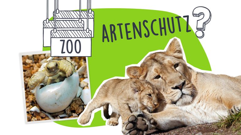 Grafik: Zoos und Artenschutz