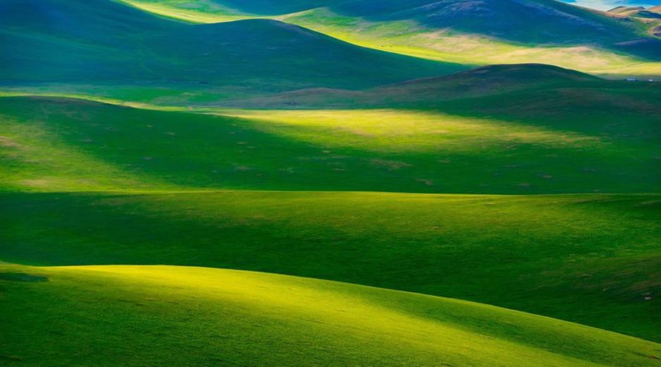 Graslandschaft in der Mongolei
