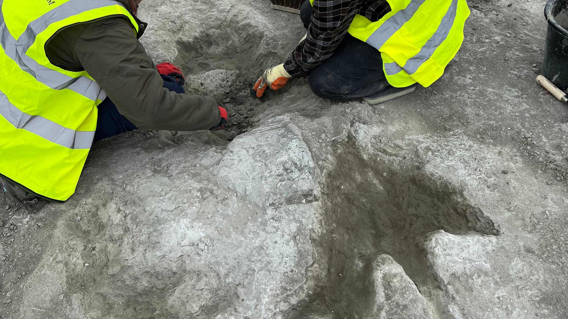 Großbritannien, Oxfordshire: Fast 200 Dinosaurier-Fußabdrücke wurden diesen Sommer in einem Steinbruch in Oxfordshire entdeckt