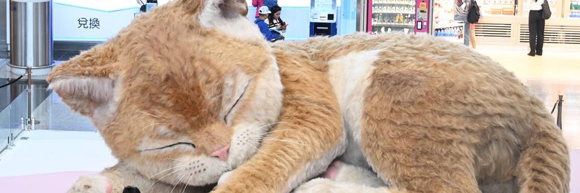 Riesige Katze aus Plüsch im Flughafen in Hong Kong