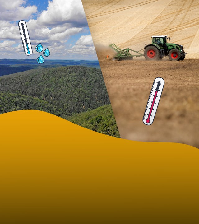 Während es im Pfälzerwald sehr kühl ist, hitzt sich der Boden in der Magdeburger Börde durch die Landwirtschaft sehr auf.
