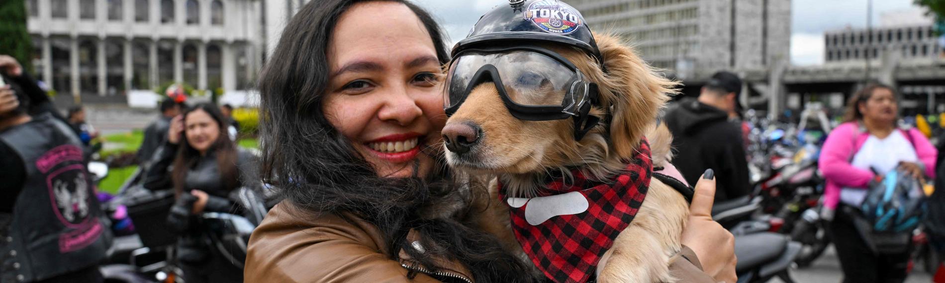Eine Bikerin mit brauner Lederjacke hält ihren Golden Retriever auf dem Arm. Der Hund trägt einen Helm, eine Schutzbrille und ein rot-schwarz kariertes Halsband