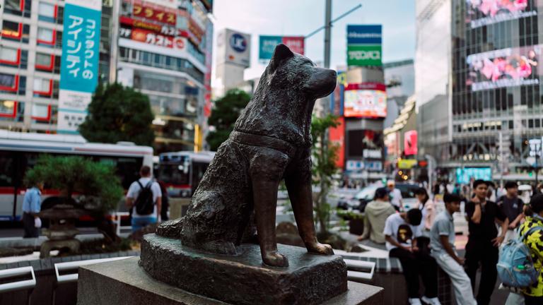 Statur von Hund Hachiko in Tokio.