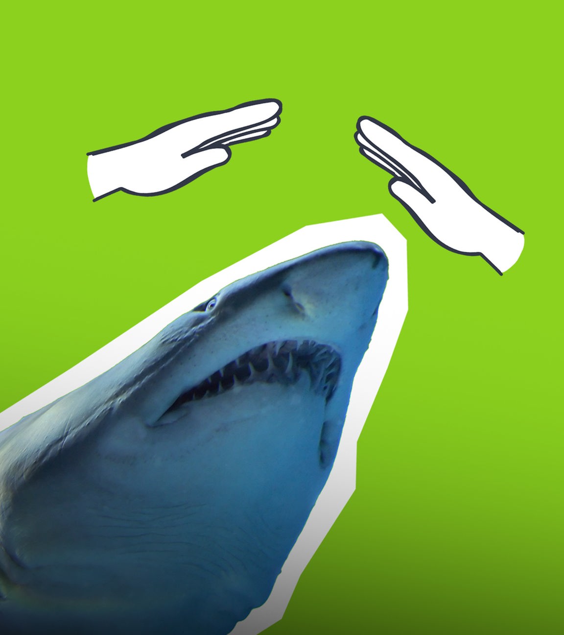 Hai; geschützte Hände