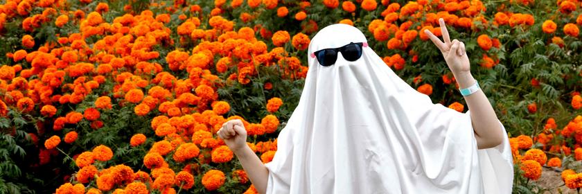 Eine Person ist als Geist mit einem weißen Laken verkleidet und steht vor einem Feld mit orangen Blumen.
