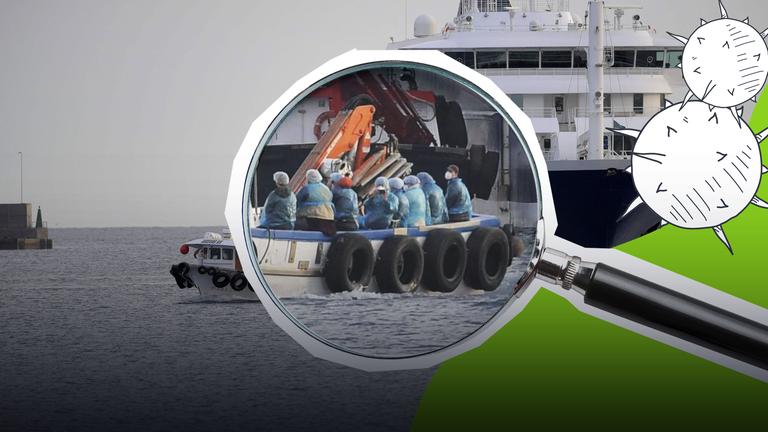 Collage: Kreuzfahrtschiff im Hintergrund, dafür kleines Rettungsboot mit Passagieren, vergrößter mit grafischer Lupe, daneben grafischen Viren auf grünem Hintergrund
