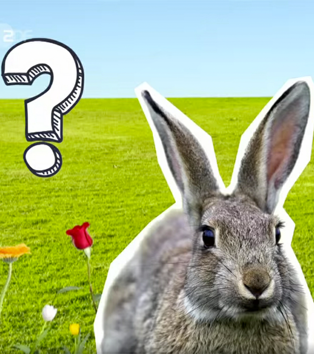 Grafik - Osterhase