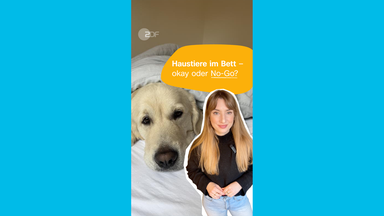 Host Johanna, dahinter Foto mit Hund im Bett, darauf Schrift "Haustiere im Bett - okay oder No-Go?