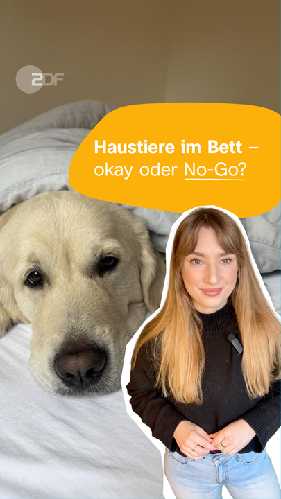 Host Johanna, dahinter Foto mit Hund im Bett, darauf Schrift "Haustiere im Bett - okay oder No-Go?