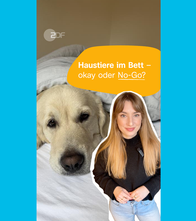 Host Johanna, dahinter Foto mit Hund im Bett, darauf Schrift "Haustiere im Bett - okay oder No-Go?
