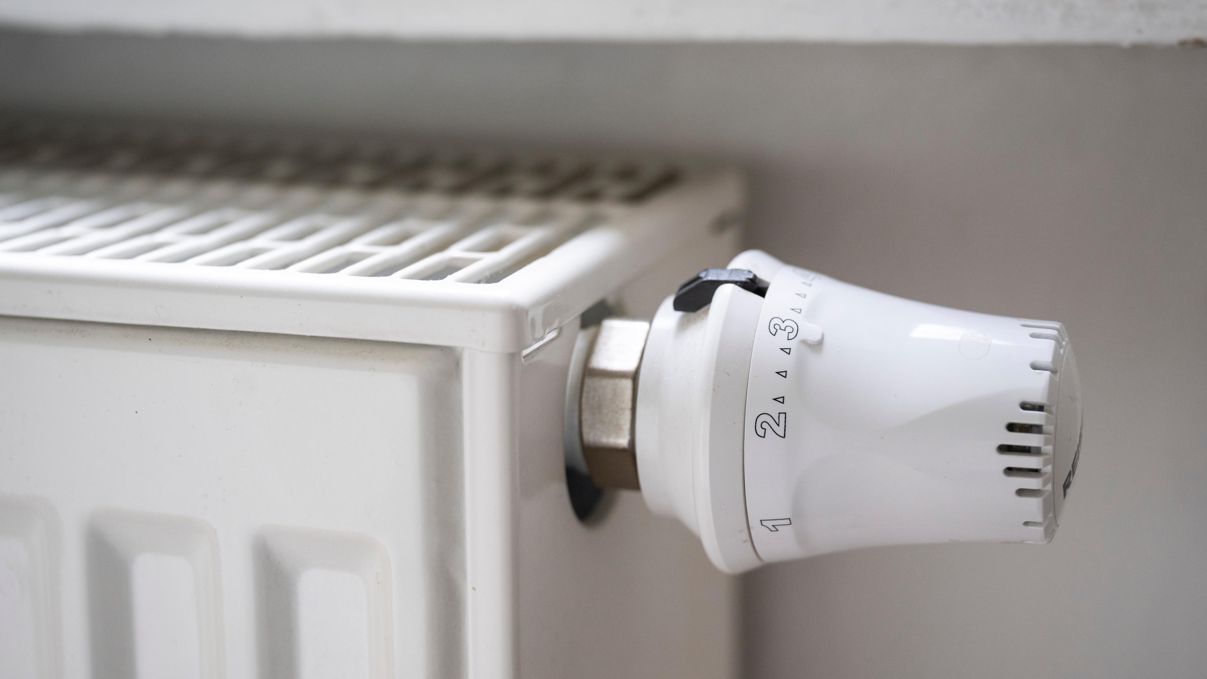Berlin, Potsdam: Blick auf einen Heizkörper mit Thermostat