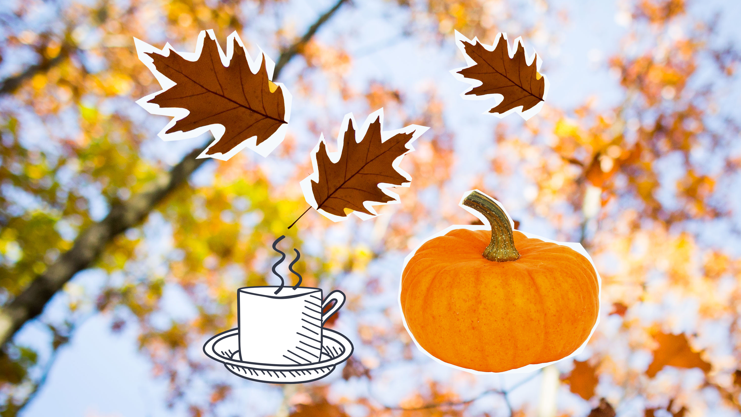 fallendes Laub, Kürbis und dampfende Teetasse 